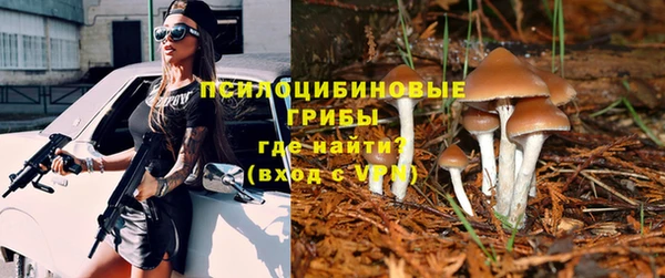 ГАЛЛЮЦИНОГЕННЫЕ ГРИБЫ Армянск