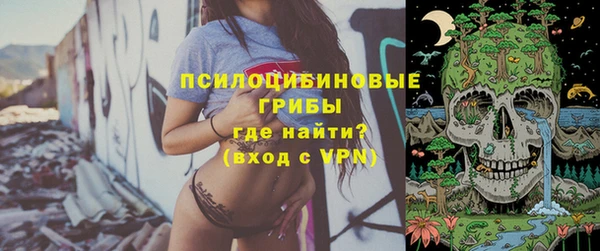 apvp Арсеньев