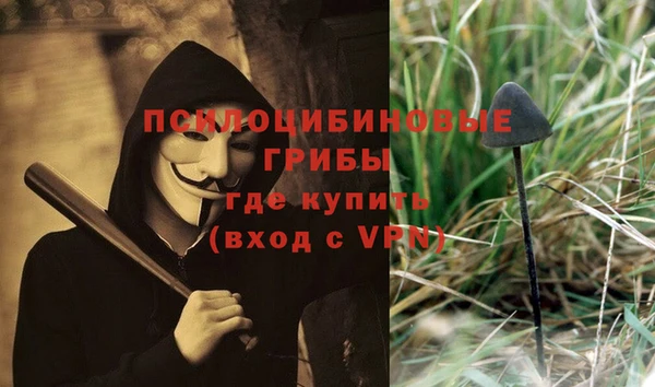 ГАЛЛЮЦИНОГЕННЫЕ ГРИБЫ Армянск
