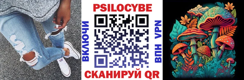 Галлюциногенные грибы мицелий  цены   Волгоград 
